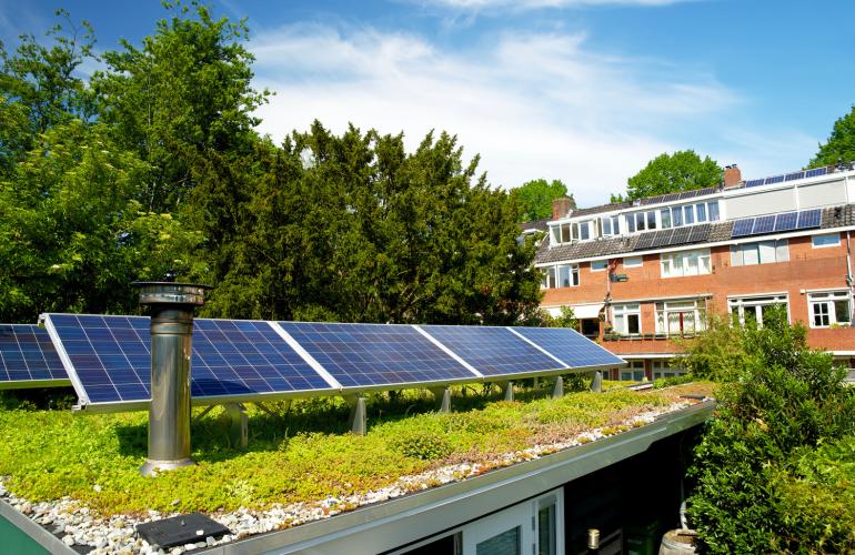 Zonnepanelen Groen Dak