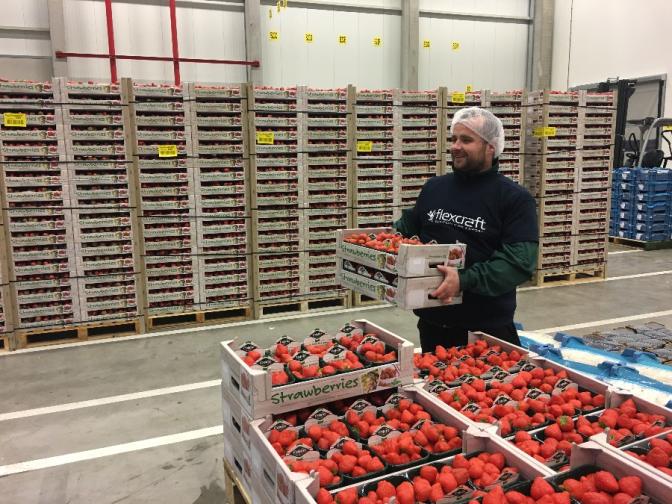 What do I need to work in the Netherlands?